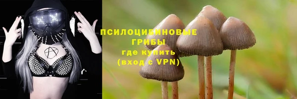 spice Чердынь