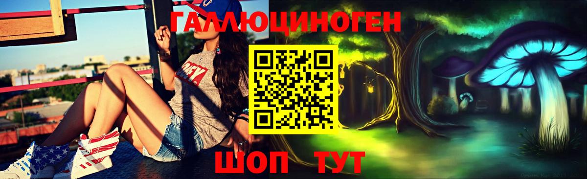 Галлюциногенные грибы Psilocybe Курган